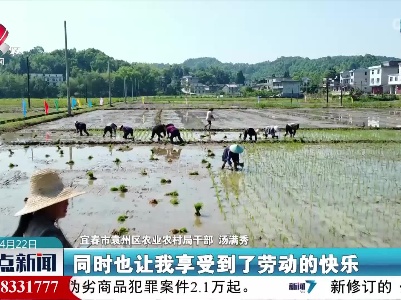 宜春市袁州区：早稻插秧上演人机“大战”