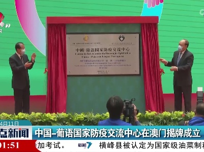整点新闻20220411 12:00