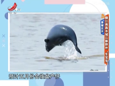 地宝当家20220415