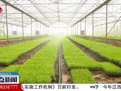 整点新闻20220401 10:00