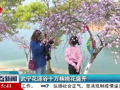 【最美四月天】武宁花源谷十万株桃花盛开