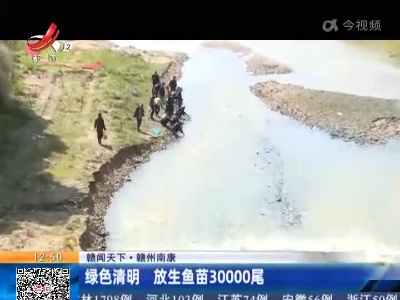 【赣闻天下】赣州南康：绿色清明 放生鱼苗30000尾