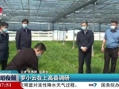 罗小云在上高县调研