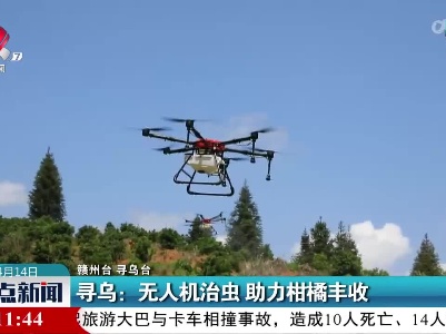 寻乌：无人机治虫 助力柑橘丰收