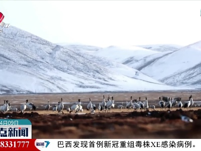 整点新闻20220409 12:00
