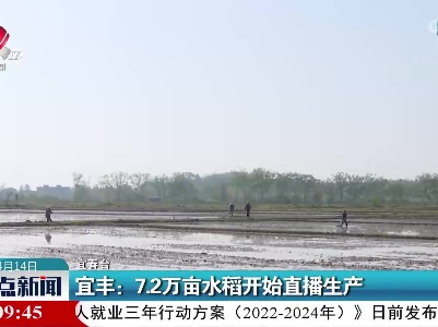 宜丰：7.2万亩水稻开始直播生产