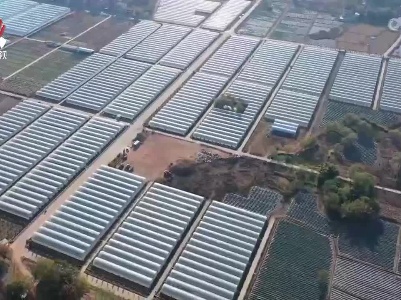 我省首个农业领域“十四五”国家重点研发计划项目获批立项