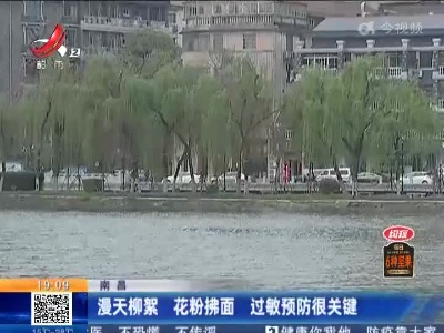 南昌：漫天柳絮 花粉拂面 过敏预防很关键