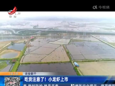 吉安新干：吃货注意了！小龙虾上市