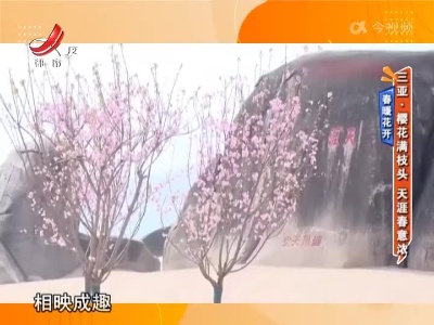 地宝当家20220406
