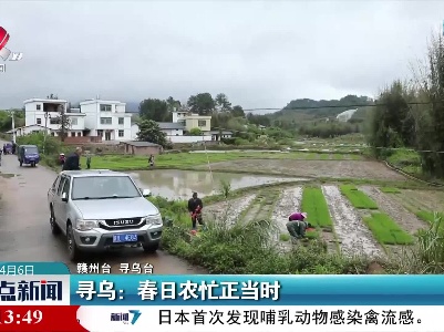 寻乌：春日农忙正当时