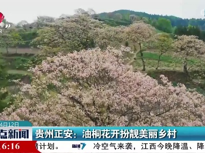 贵州正安：油桐花开扮靓美丽乡村
