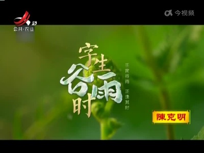 谷雨，春天的最后一次回眸