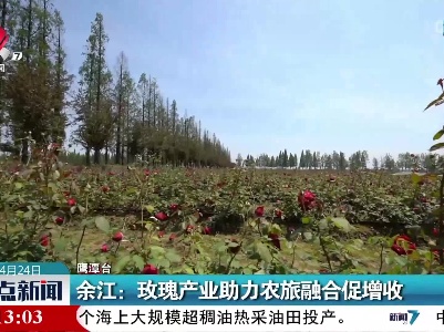 余江：玫瑰产业助力农旅融合促增收
