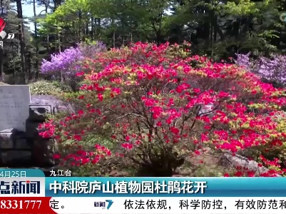 中科院庐山植物园杜鹃花开