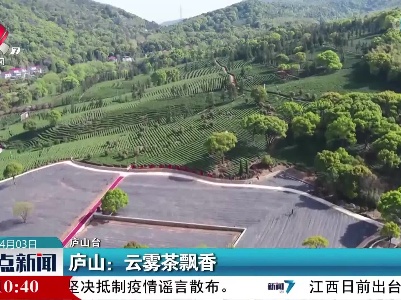 庐山：云雾茶飘香