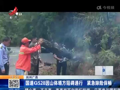 抚州广昌：国道G528因山体塌方阻碍通行 紧急除险保畅