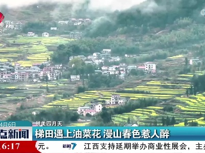 【最美四月天】梯田遇上油菜花 漫山春色惹人醉