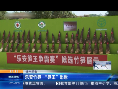 抚州乐安：乐安竹笋 “笋王”出世