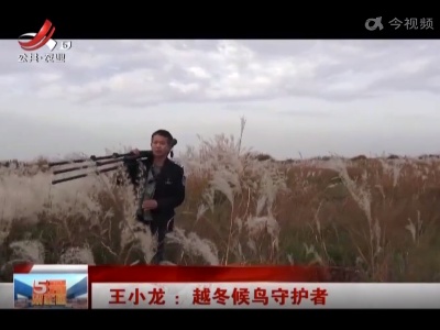 王小龙：越冬候鸟守护者