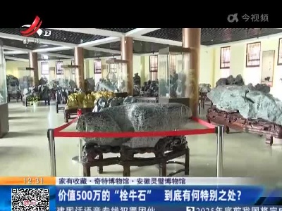 【家有收藏·奇特博物馆】安徽灵璧博物馆：价值500万的“栓牛石”到底有何特别之处？