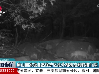 庐山国家级自然保护区红外相机拍到豹猫行踪