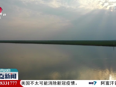 鄱阳湖江豚大秀“靓丽”身影