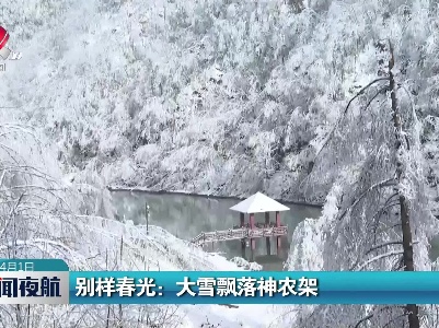 别样春光：大雪飘落神农架