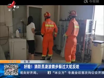 北京：好险！ 消防员凌波微步躲过大蛇反咬