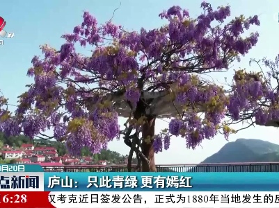 庐山：只此青绿 更有嫣红