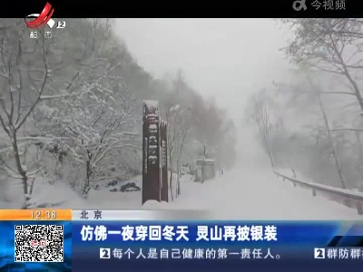 仿佛一夜穿回冬天 灵山再披银装