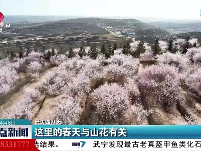 【最美四月天】这里的春天与山花有关