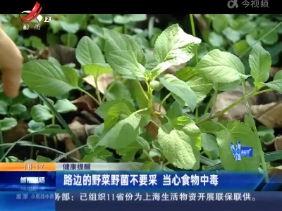 健康提醒：路边的野菜野菌不要采 当心食物中毒