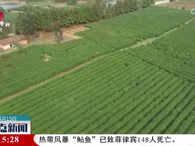 整点新闻20220415 16:00