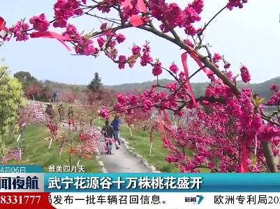 【最美四月天】武宁花源谷十万株桃花盛开