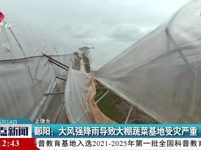 鄱阳：大风强降雨导致大棚蔬菜基地受灾严重