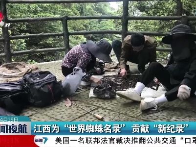 江西为“世界蜘蛛名录”贡献“新纪录”