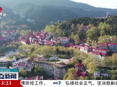 庐山：梧桐新绿百花娇
