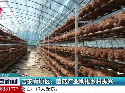吉安青原区：菌菇产业助推乡村振兴