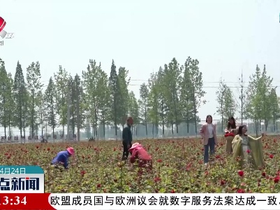 整点新闻20220424 16:00