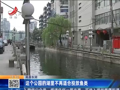 南昌东湖：这个公园的湖里不再适合投放鱼类