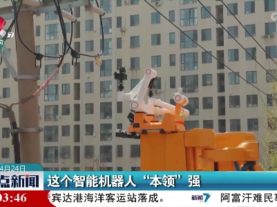 这个智能机器人“本领”强
