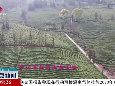 整点新闻20220406 12:00