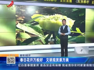 【都市2视评】春日花开万般好 文明观赏景方美