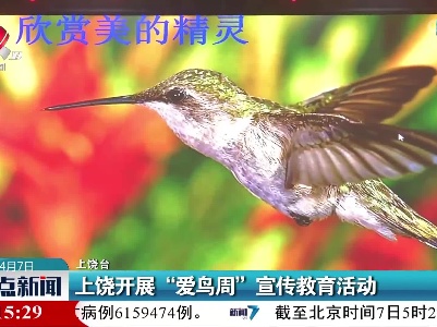 上饶开展“爱鸟周”宣传教育活动