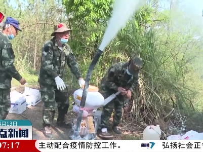 分宜：扑杀松毛虫害 护林惠民生