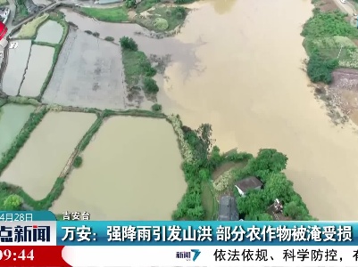 万安：强降雨引发山洪 部分农作物被淹受损