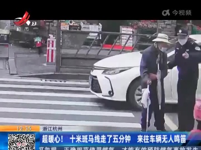 浙江杭州：超暖心！十米斑马线走了五分钟 来往车辆无人鸣笛