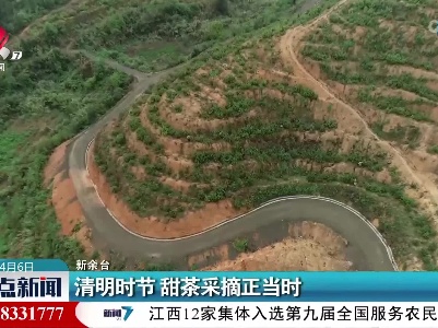 整点新闻20220406 16:00