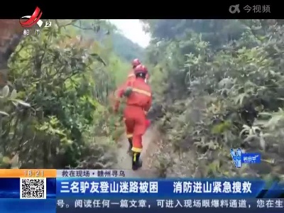 【救在现场】赣州寻乌：三名驴友登山迷路被困 消防进山紧急搜救